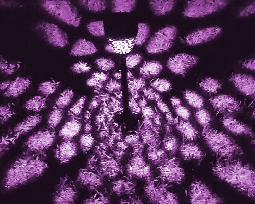 Solar Color Changing Light
